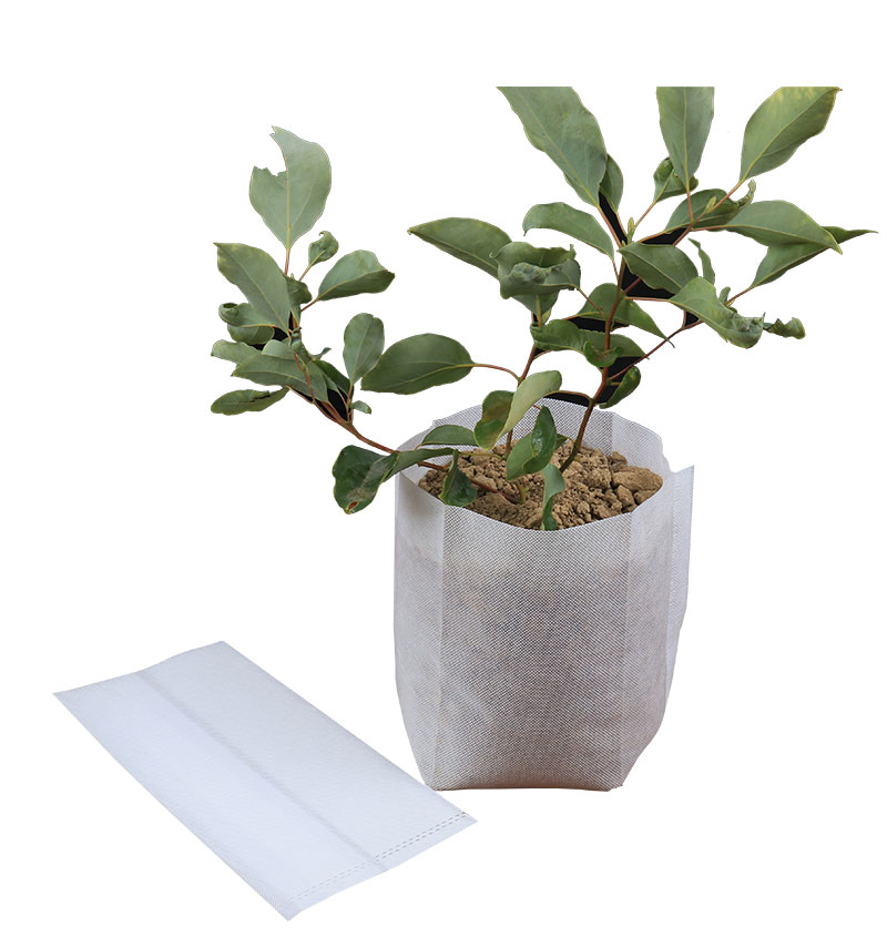 無紡布育苗袋 無紡布育苗袋